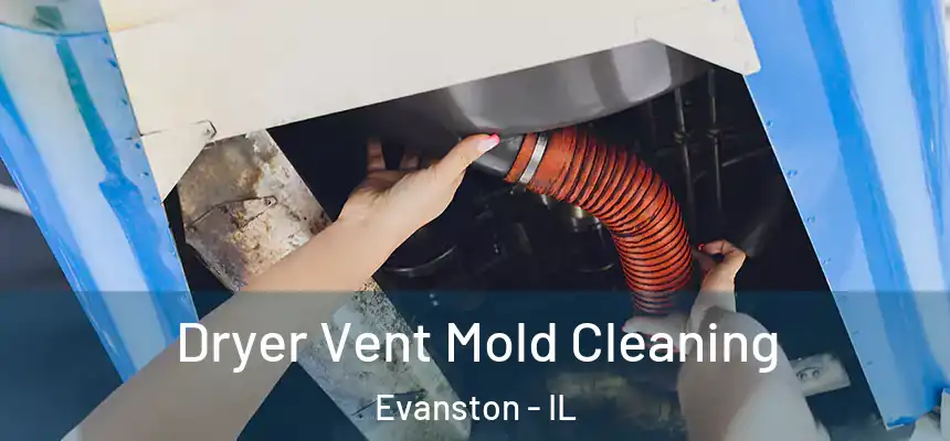 Dryer Vent Mold Cleaning Evanston - IL