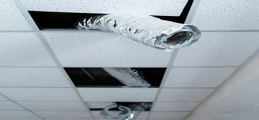 Our Air Duct Pet Hair Removal Services in Evanston, IL