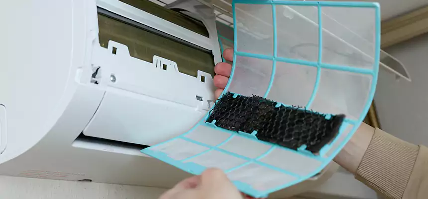 Gentle Ductwork Odor-Control Pet Dander Duct Cleaning in Evanston, IL