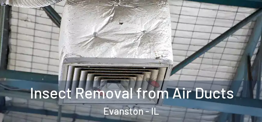 Insect Removal from Air Ducts Evanston - IL