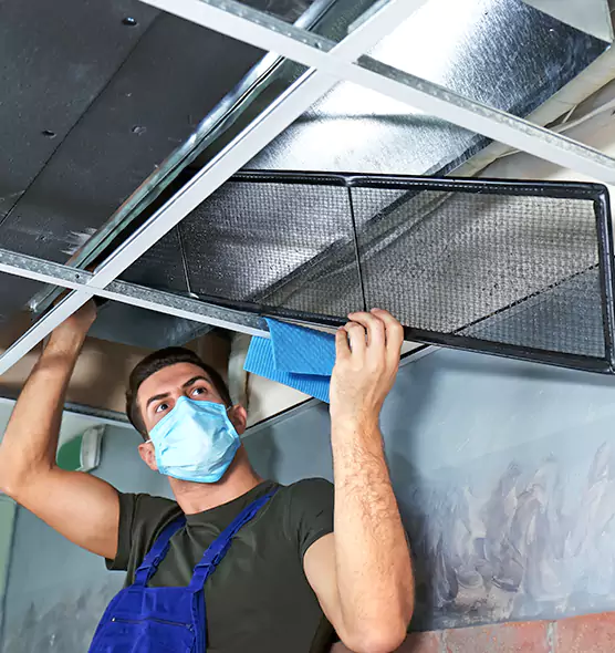 Professional Air Duct Pollen Cleaning in Evanston, IL