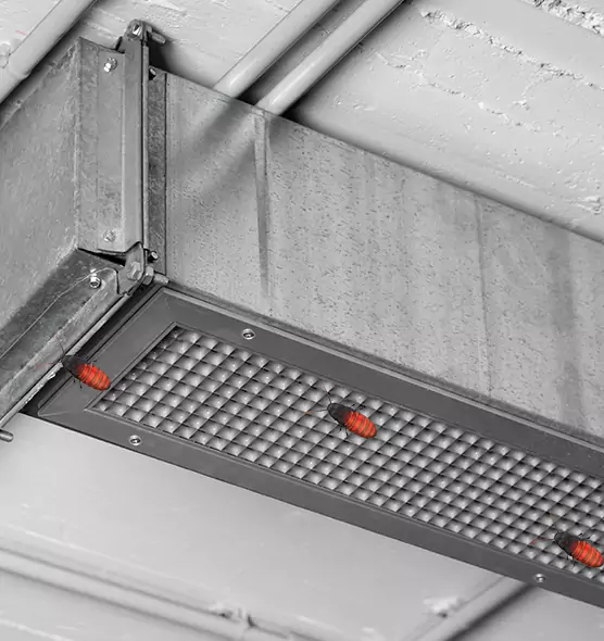 Affordable Insect Removal from Air Ducts in Evanston, IL